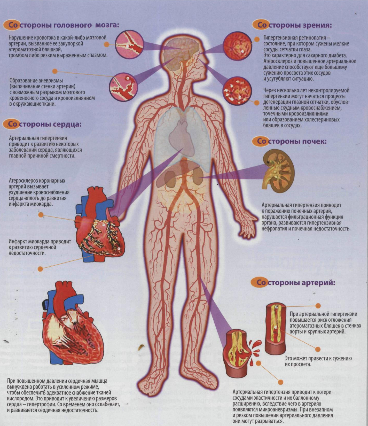 Высокое давление болезнь. Органи мишени артериалной гипер. Органы-мишени при артериальной гипертензии. Органы мишени при артериальной гипертонии. Артериальная гипертензия и гипертония.